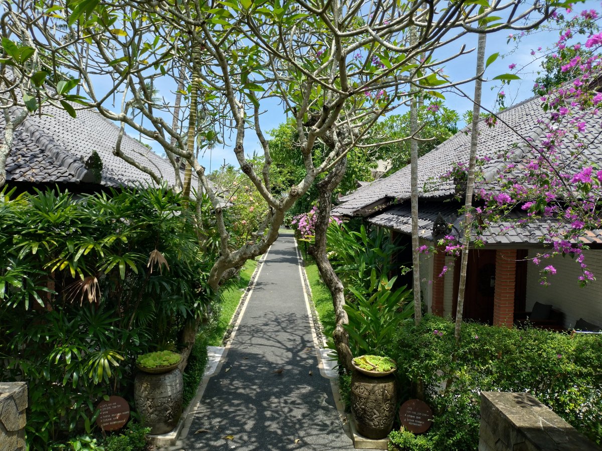 坎迪海滩水疗度假村-官方