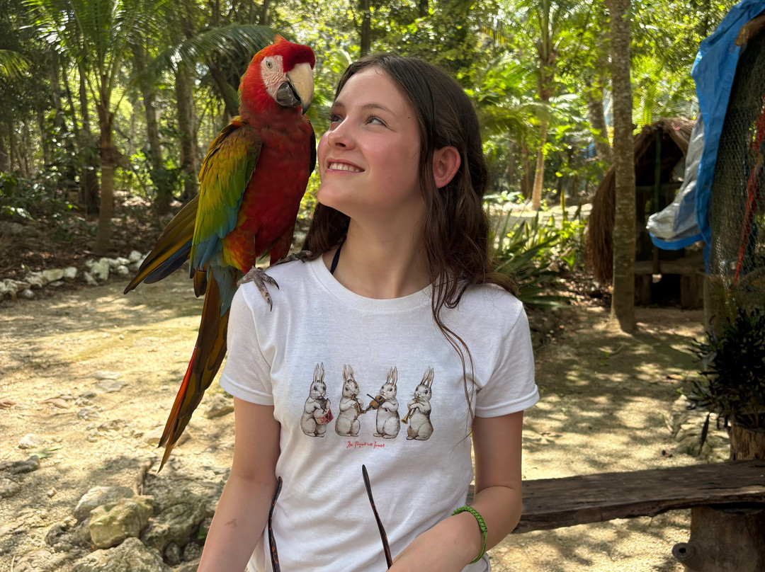 Akumal Natura Rescue-艾库玛尔必去景点