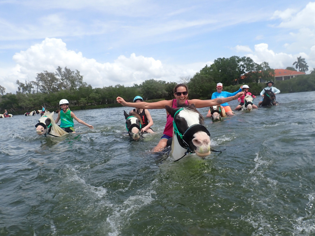 C Ponies Beach Horseback Rides-布雷登顿必去景点