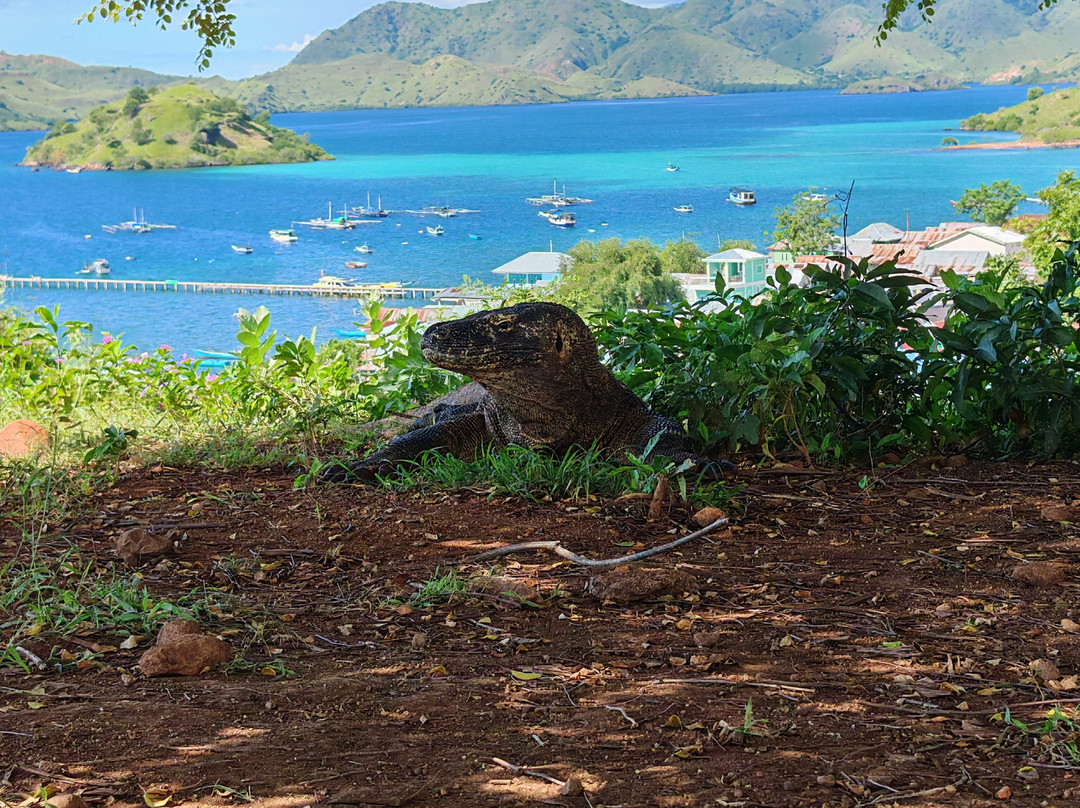 Mmb Komodo Tour-科莫多必去景点