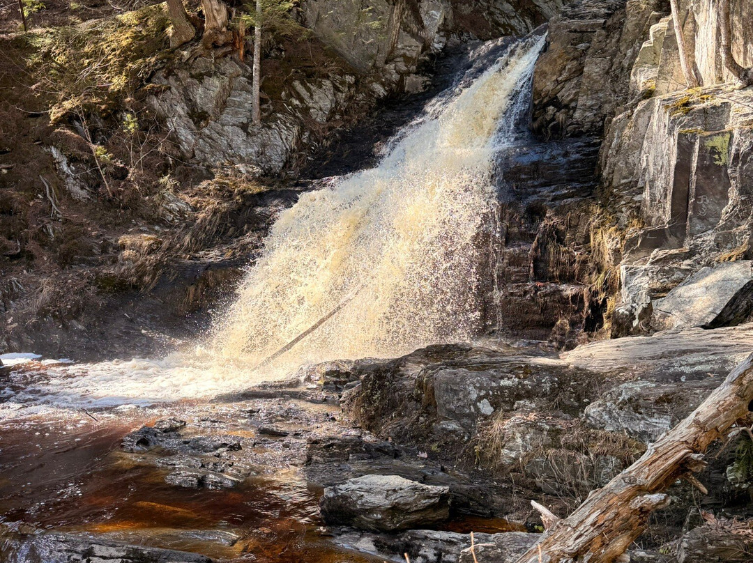 Cascade Falls-萨考必去景点