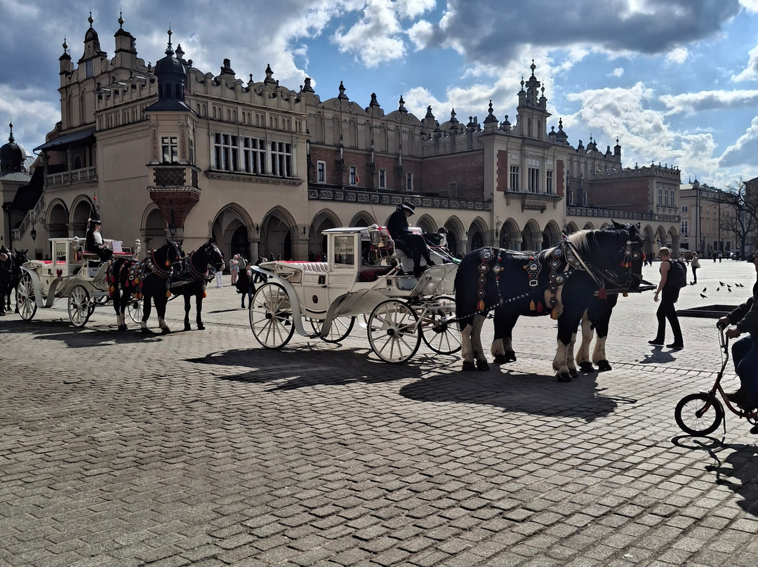 Cracovia Walking Tours-克拉科夫必去景点