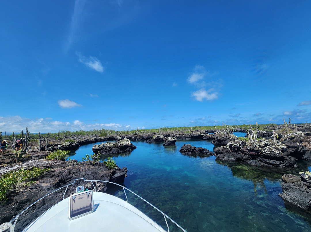 Galapagos by Local Guides-圣克鲁斯必去景点