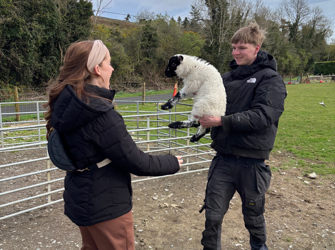 Sheep Smarts-Rathdrum必去景点