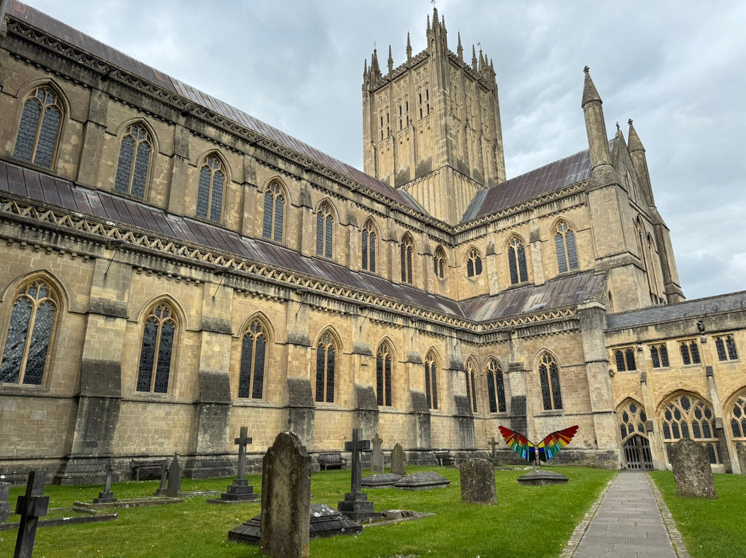 Wells Cathedral-韦尔斯必去景点