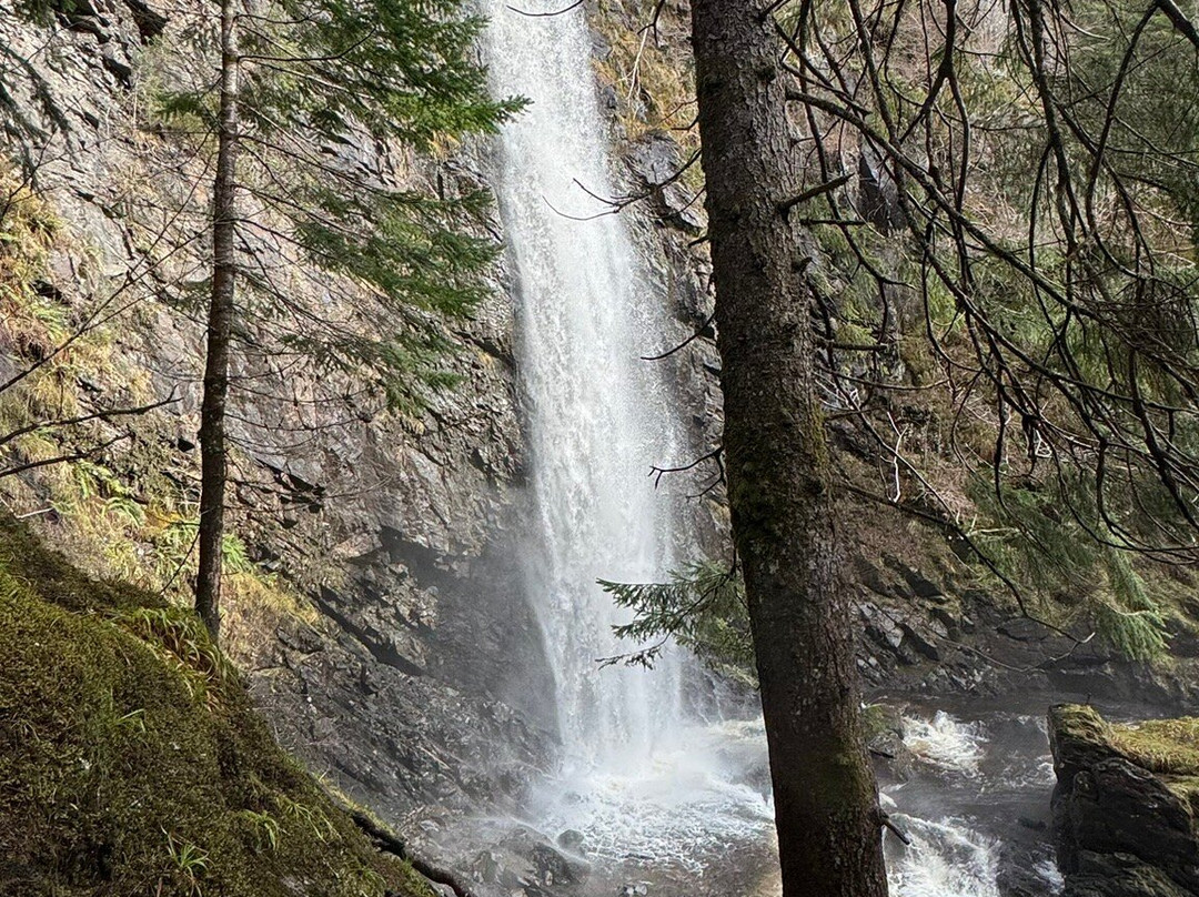 Plodda Falls-Tomich必去景点