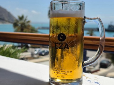 阿斯托立亚酒店-旅行者