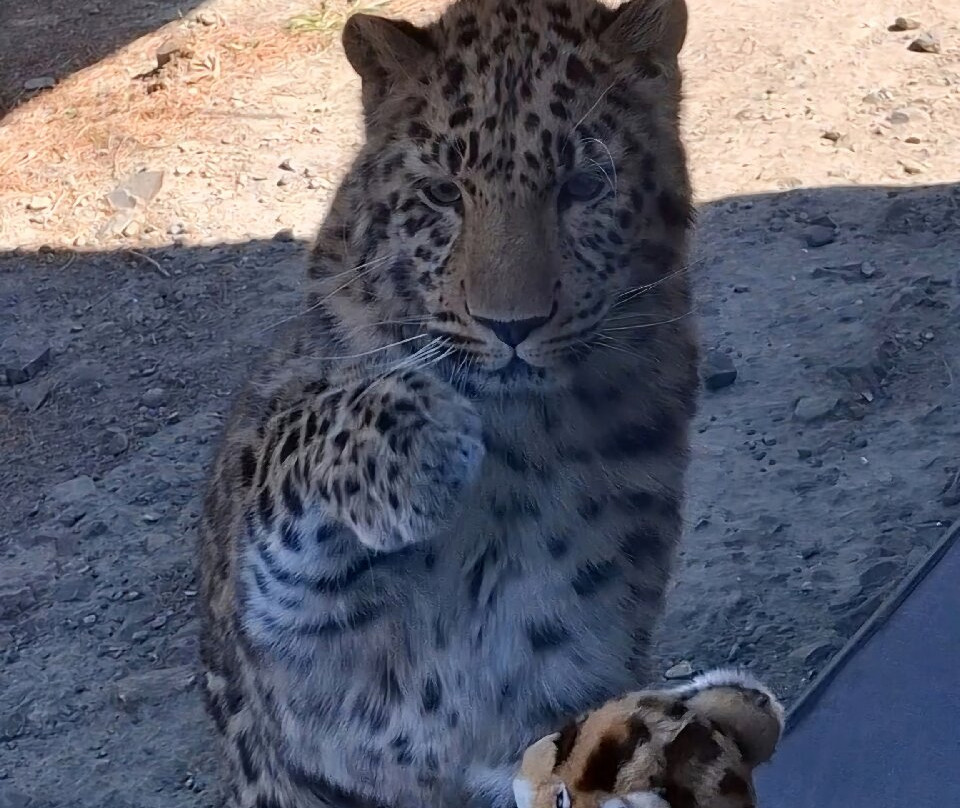 EcoZonia - Parc Animalier-Cases de Pene必去景点