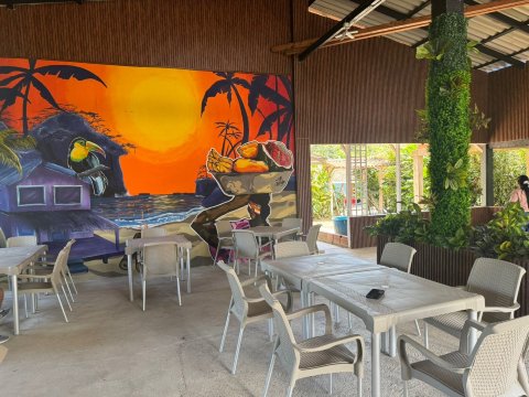 Papagayos Beach Hotel-旅行者