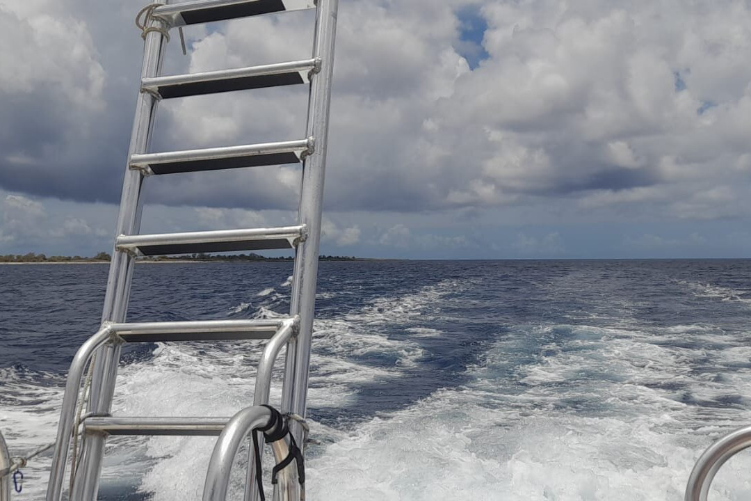 Wannadive Bonaire-Kralendijk必去景点