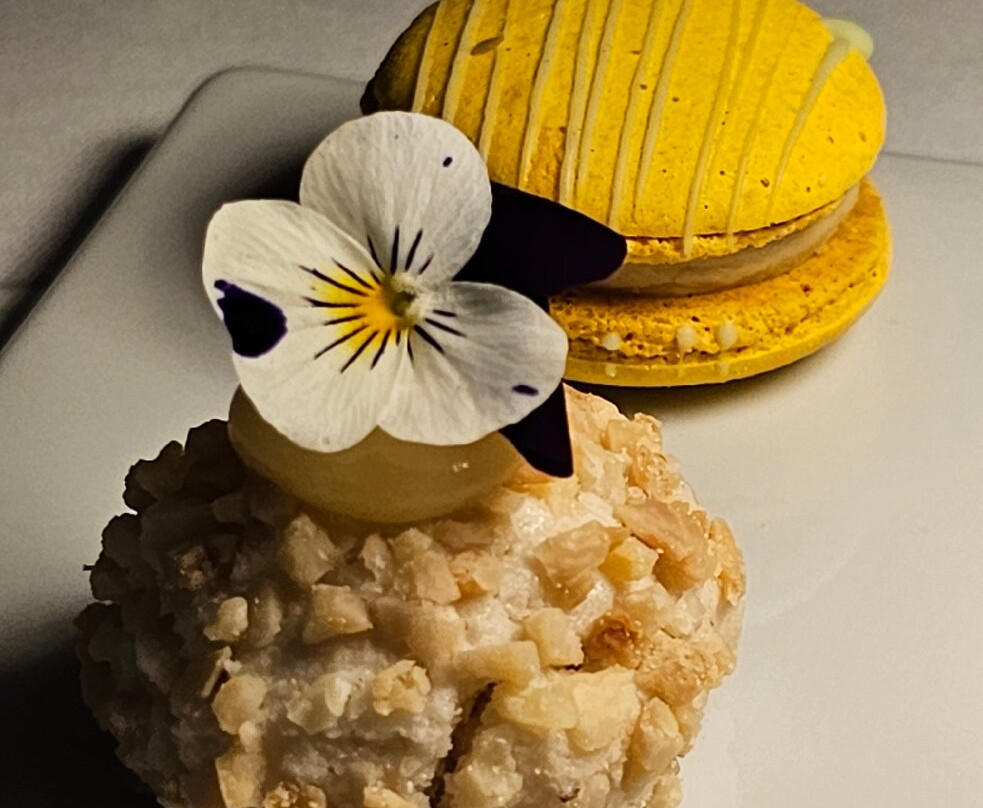 阿尔巴罗斯酒店主图