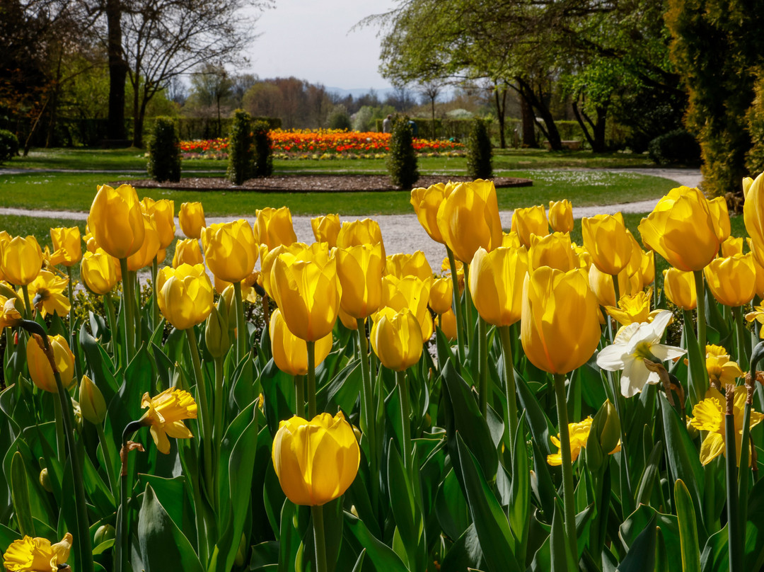 Arboretum Volčji Potok-Radomlje必去景点
