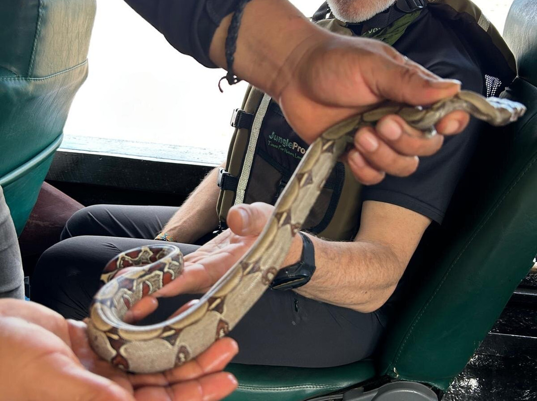 Finca Sachavacayoc lodge主图