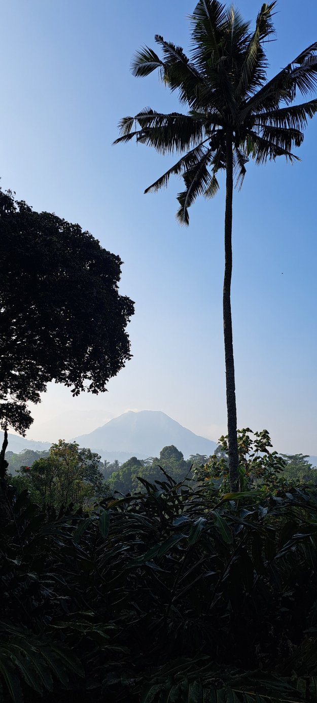 梅萨斯蒂拉水疗度假村-旅行者