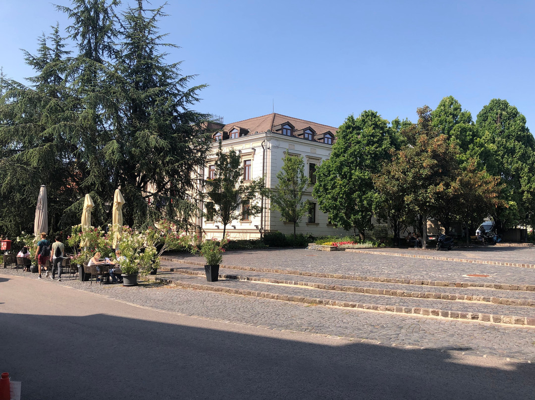 Castle Hill (Veszpremi Varhegy)-维斯普雷姆必去景点