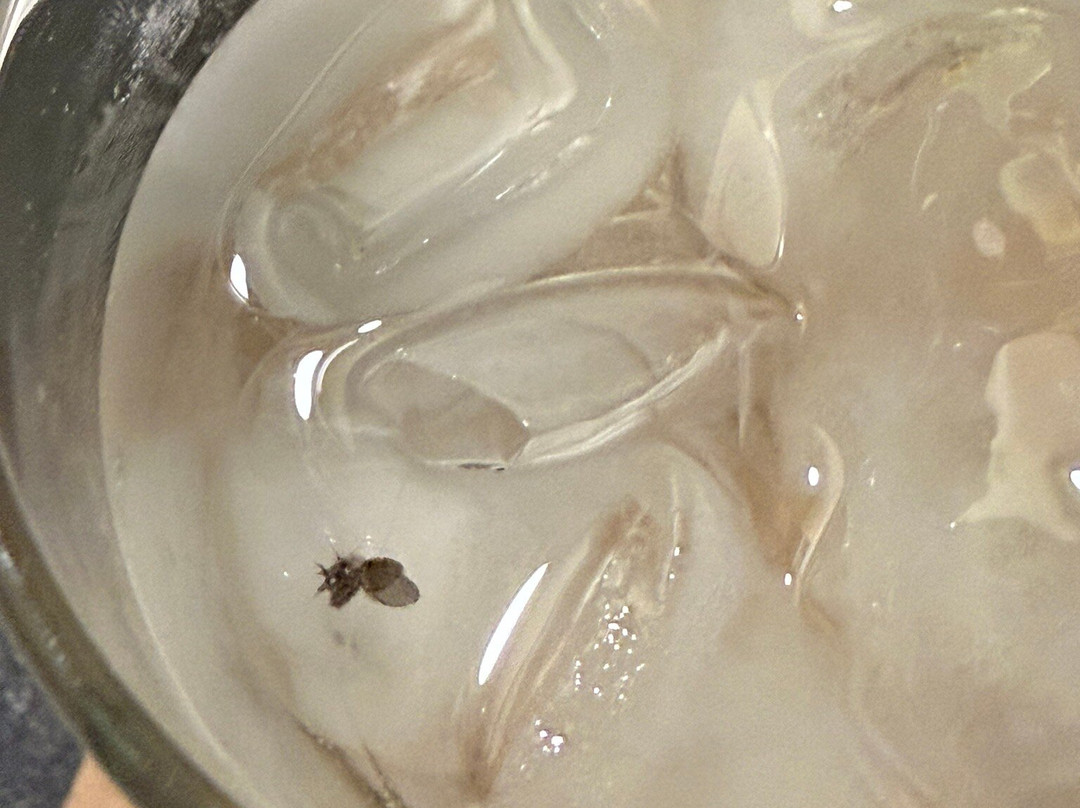 博阿维亚任勒西菲布甘酒店 - 亚特兰蒂卡酒店主图