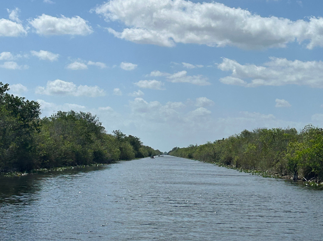 Everglades Swamp Tours-Everglades Wildlife Management Area必去景点
