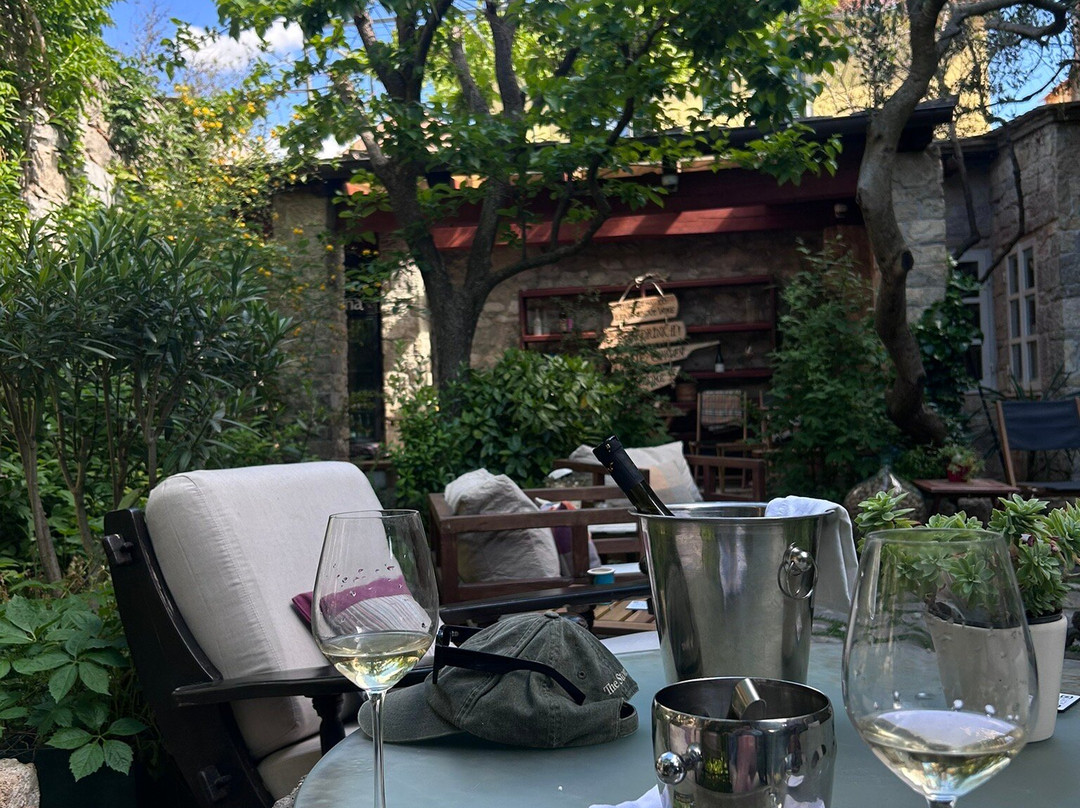 Wine Garden-斯克拉丁必去景点
