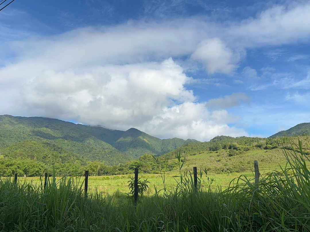 Encanto tours PR-Isla Verde必去景点