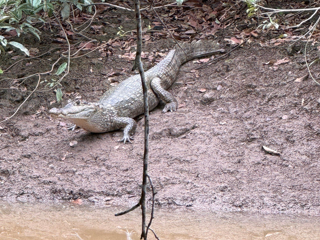 El Encanto de Guanapalo Reserva Natural-San Luis de Palenque必去景点
