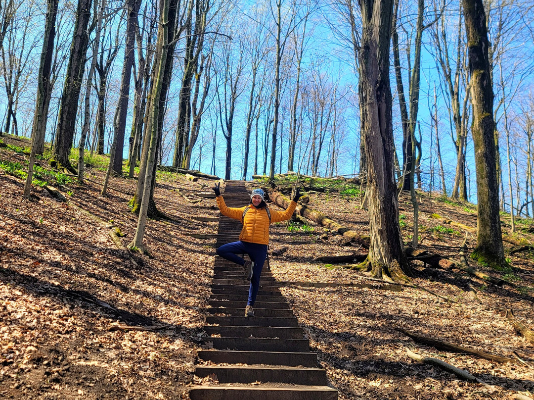 Chimney Bluffs State Park-Wolcott必去景点