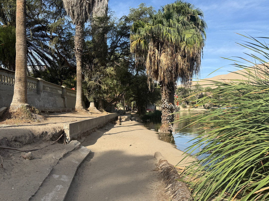 Huacachina Oasis-Huacachina必去景点