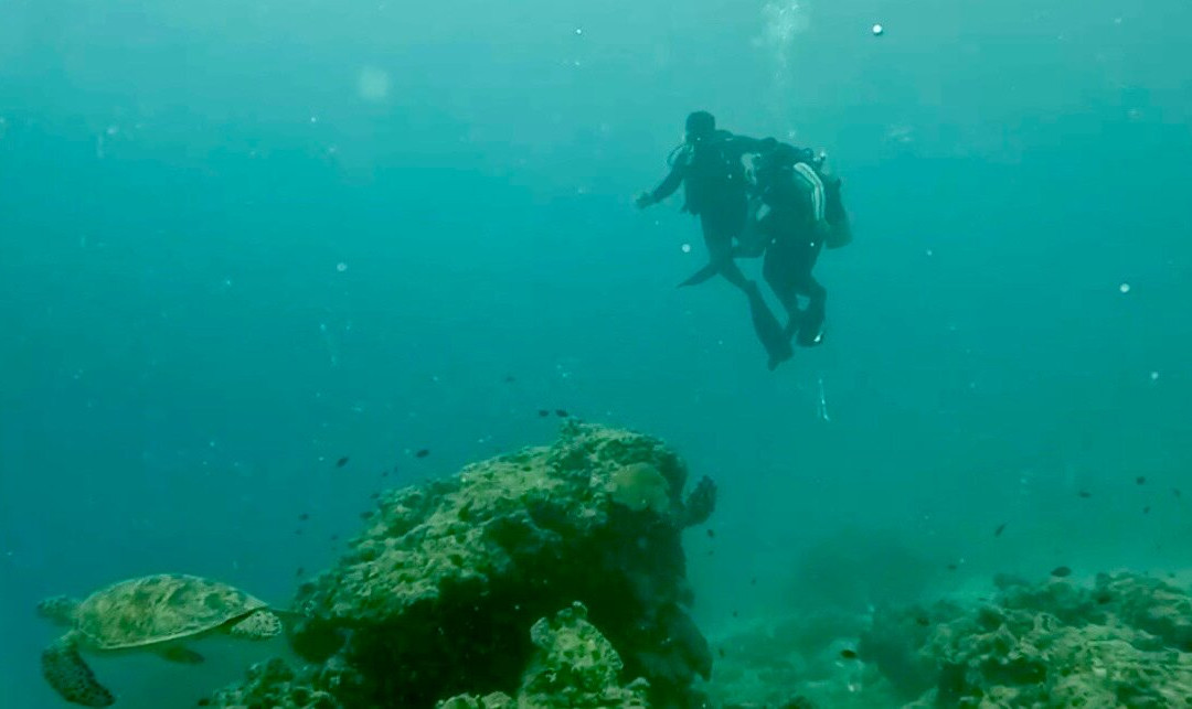 Addu Scuba Dive Maldives-阿斯杜太阳岛必去景点