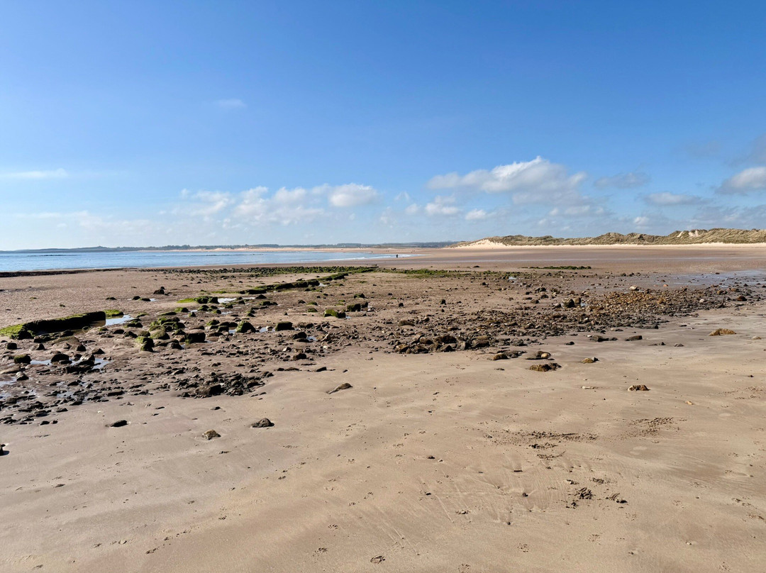 Beadnell Bay Beach-Beadnell必去景点