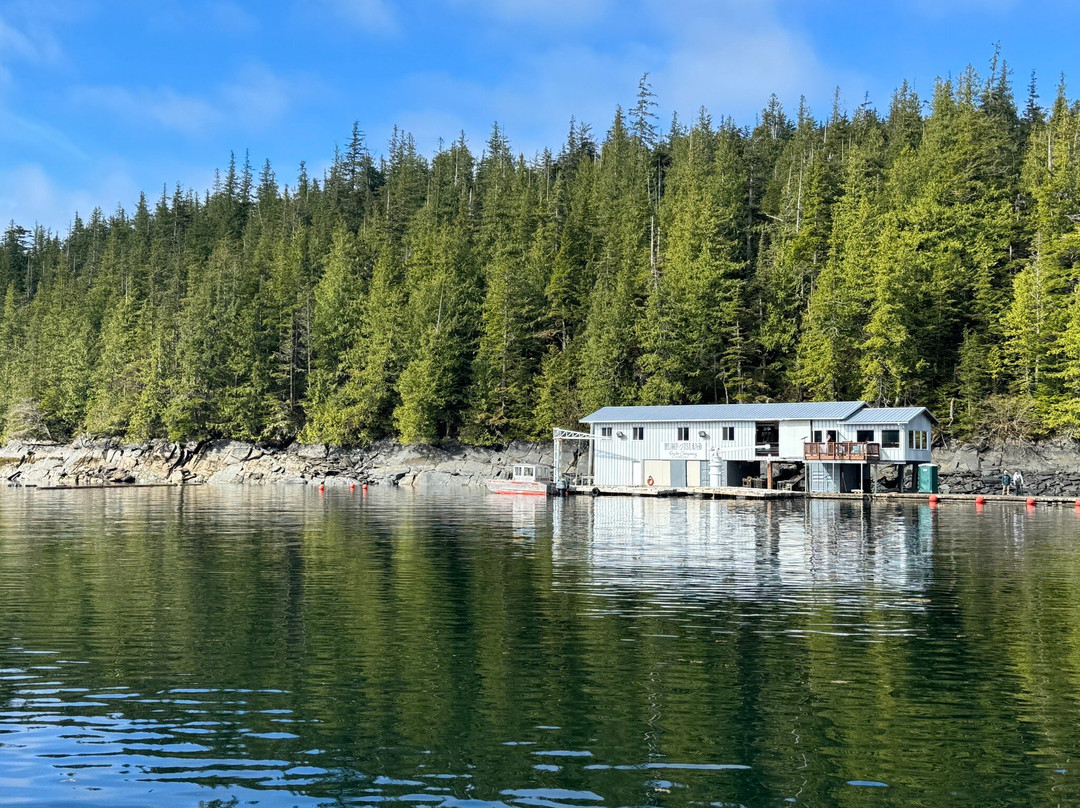 Hump Island Oyster & Kelp Farm with Tasting-凯奇坎必去景点