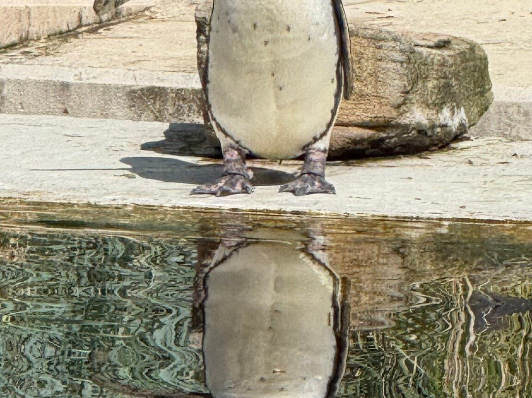 Tierpark und Fossilium Bochum-波鸿必去景点