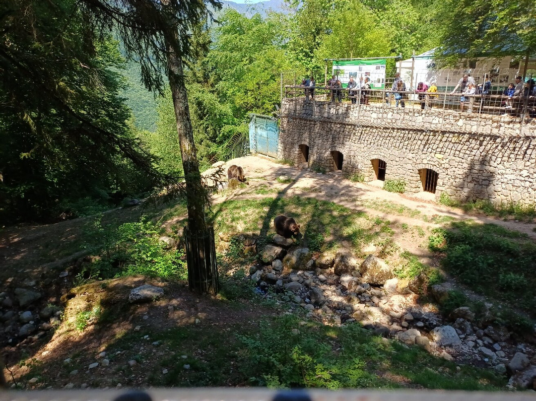 BELPARK- Parco Faunistico di Spormaggiore-Spormaggiore必去景点