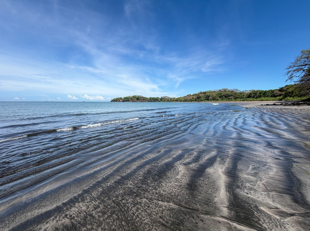 Isla Palenque Cayuga收藏成员主图