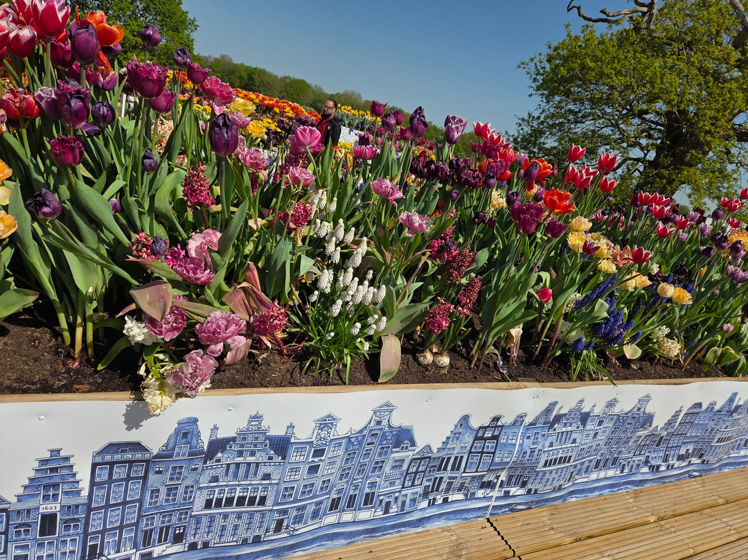 Tulleys Tulip Garden - Warwickshire-沃里克必去景点