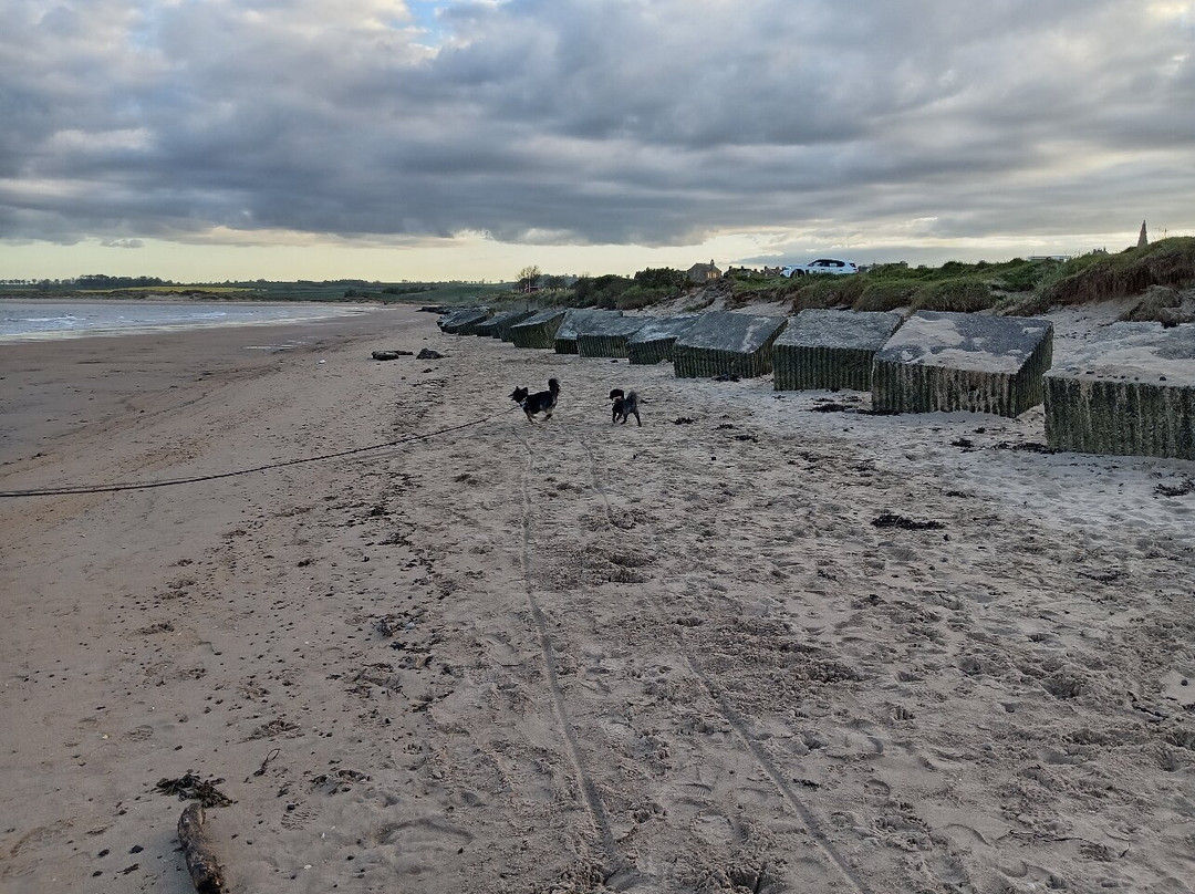 Alnmouth Beach-Alnmouth必去景点