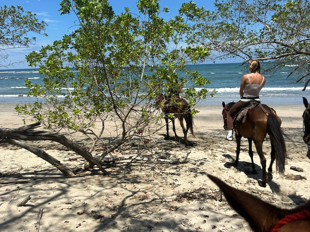 Guti Tours-Playa Avellanas必去景点