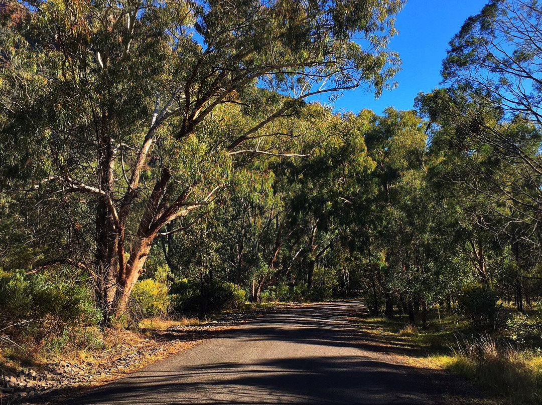 Warrumbungle National Park-Coonabarabran必去景点