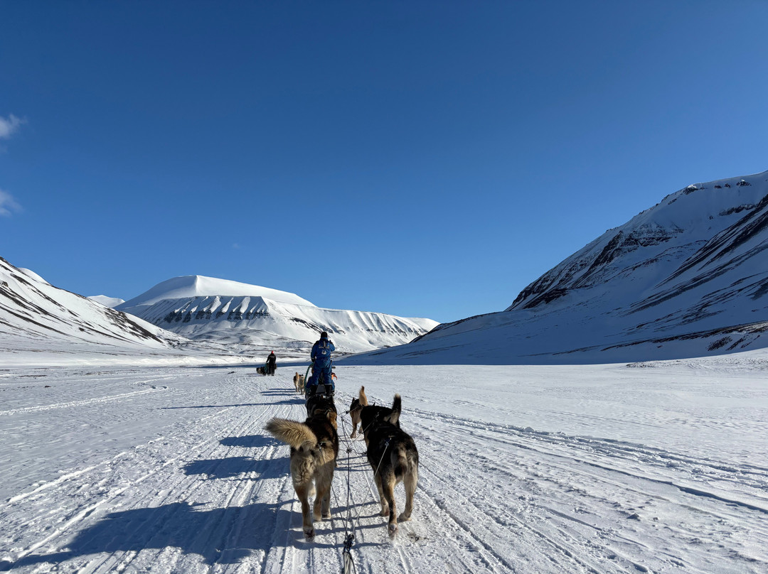 Svalbard Experts-朗伊尔城必去景点
