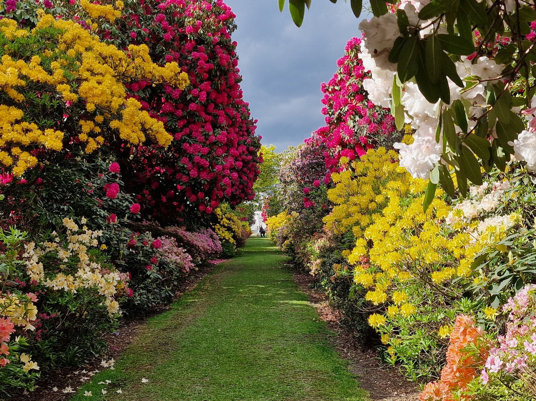 Stody Lodge Gardens-Melton Constable必去景点