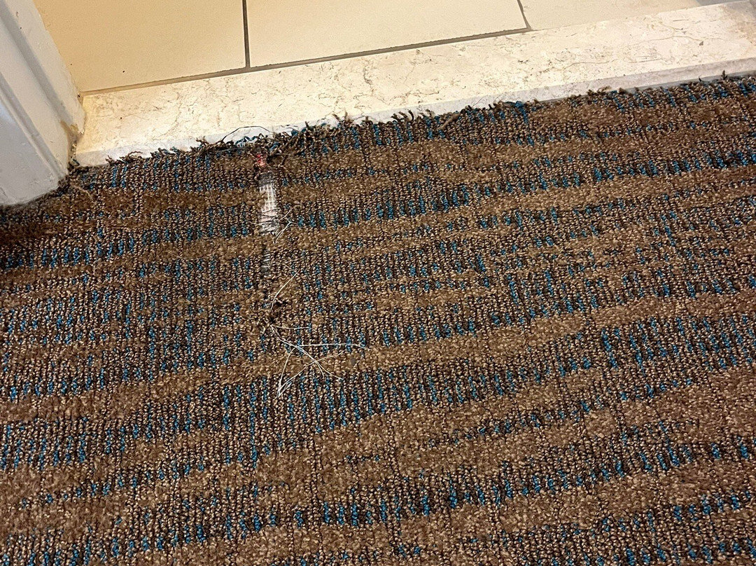 路易斯维尔东部居家酒店主图