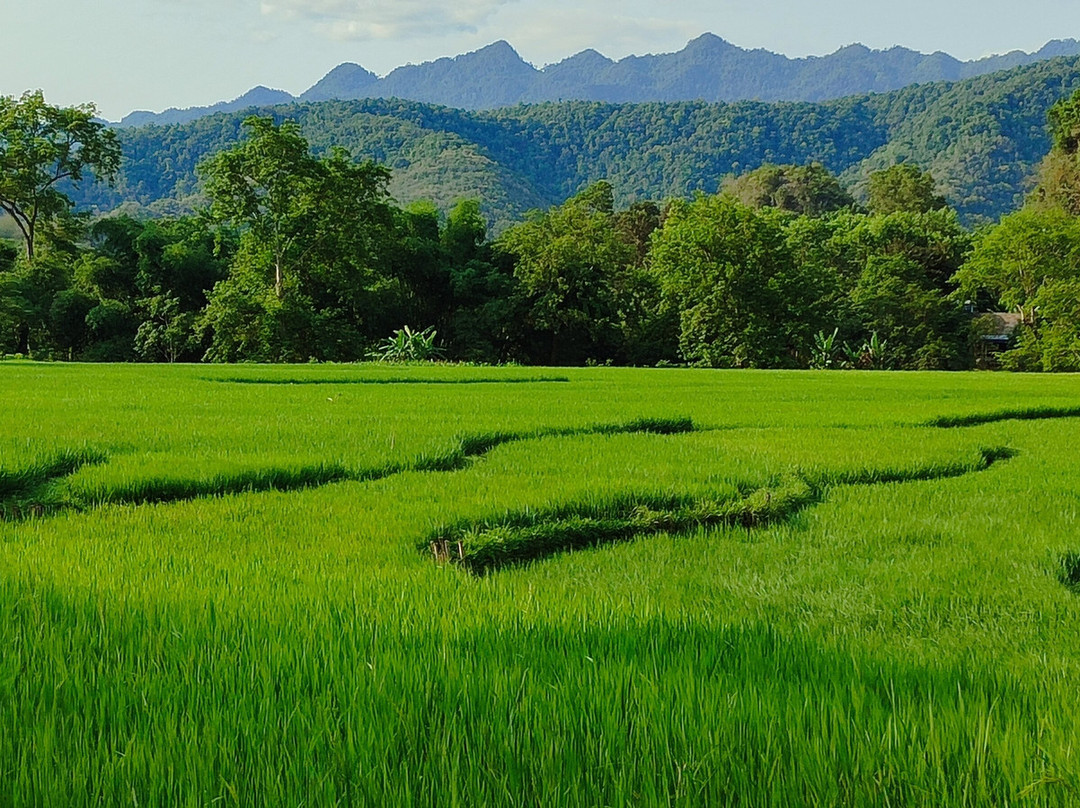 Vietnam Dragon Travel-河内必去景点