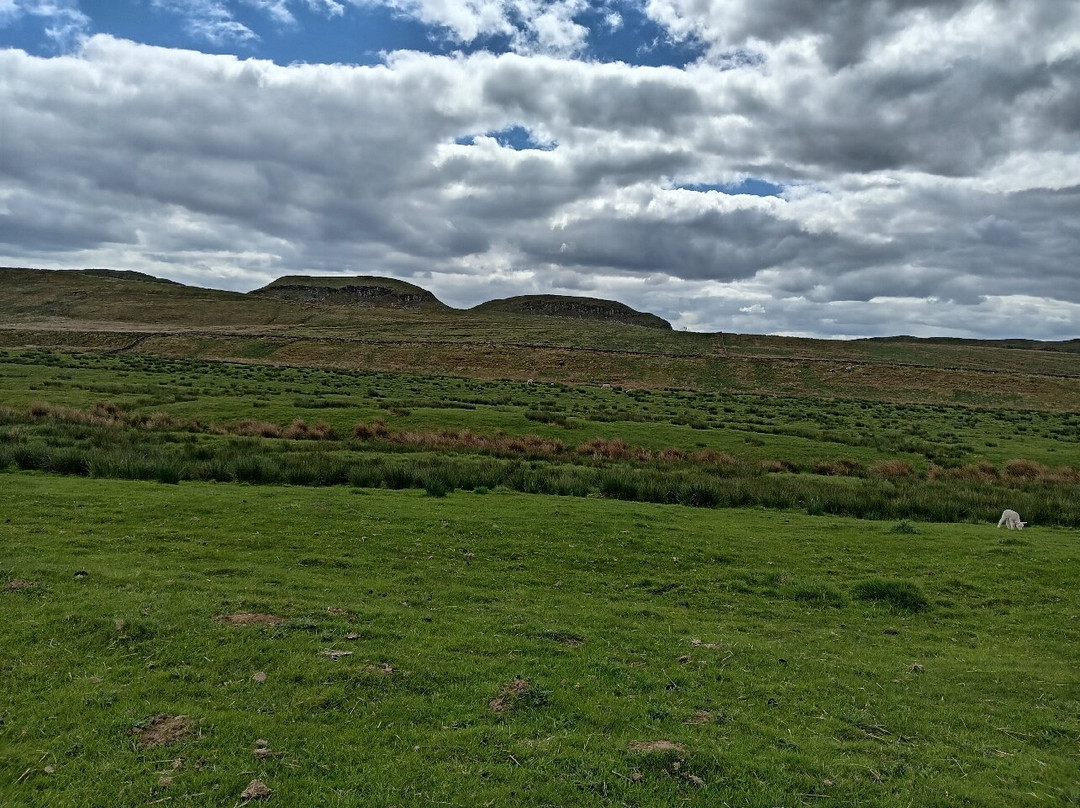 Walltown Country Park-Greenhead必去景点
