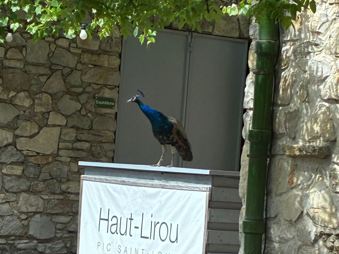 Domaine Haut-Lirou-Le Triadou必去景点
