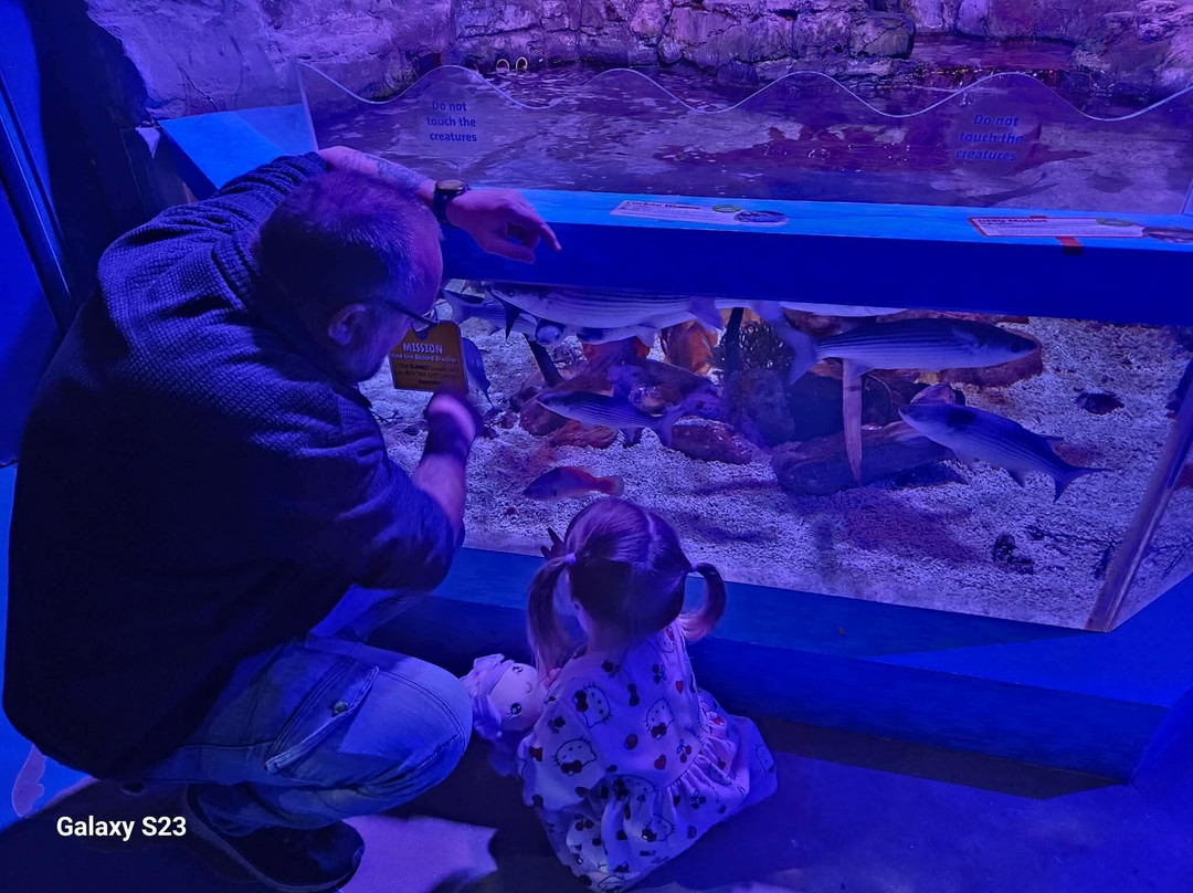 Sea Life Scarborough-斯卡伯勒必去景点