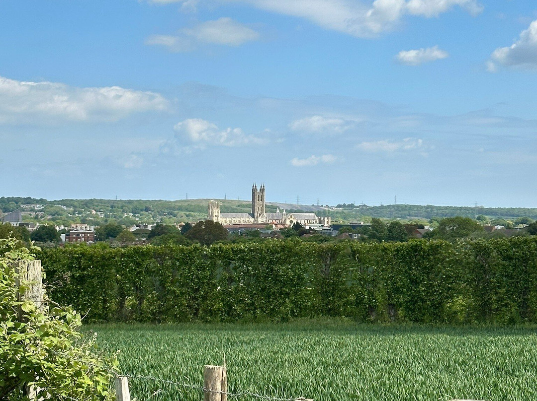 Canterbury Cathedral Panoramic Viewpoint-坎特伯雷必去景点