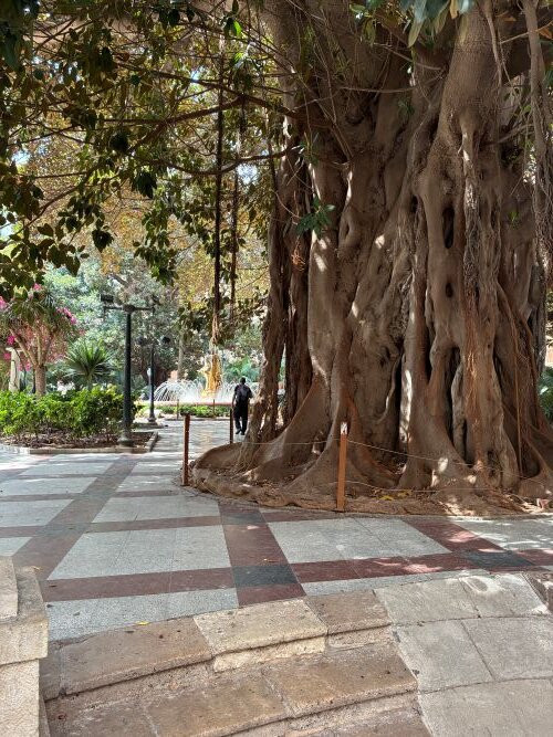 Plaça De Gabriel Miró-阿利坎特省必去景点
