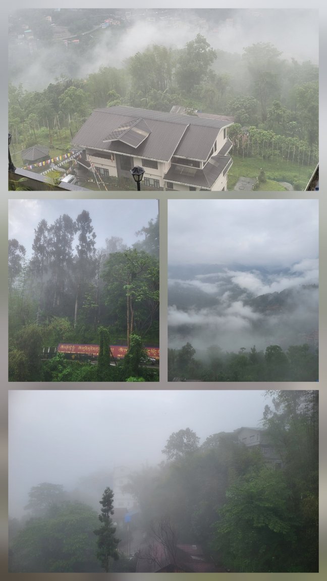 喜马拉雅山酒店-旅行者