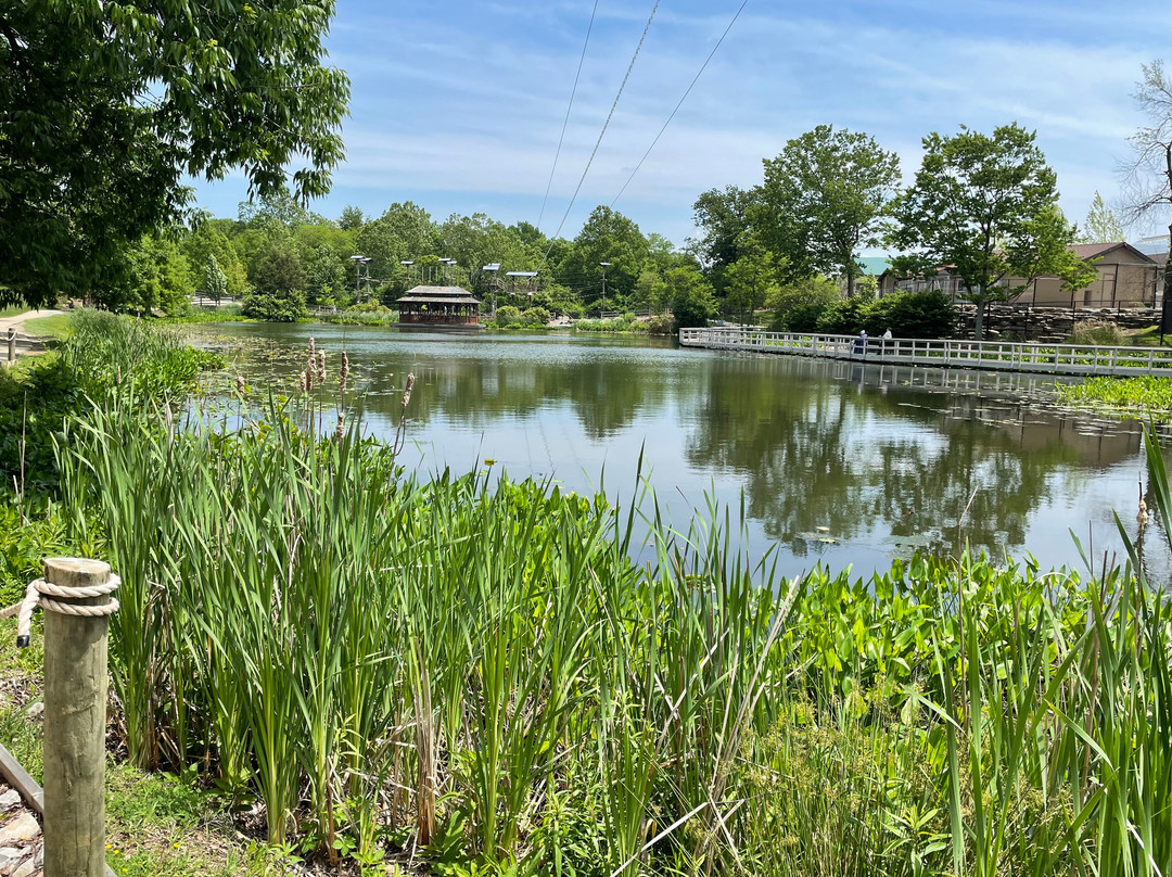 Creation Museum-Petersburg必去景点