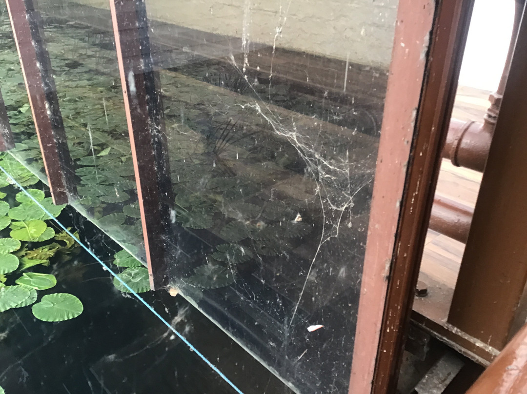 米尔酒店主图