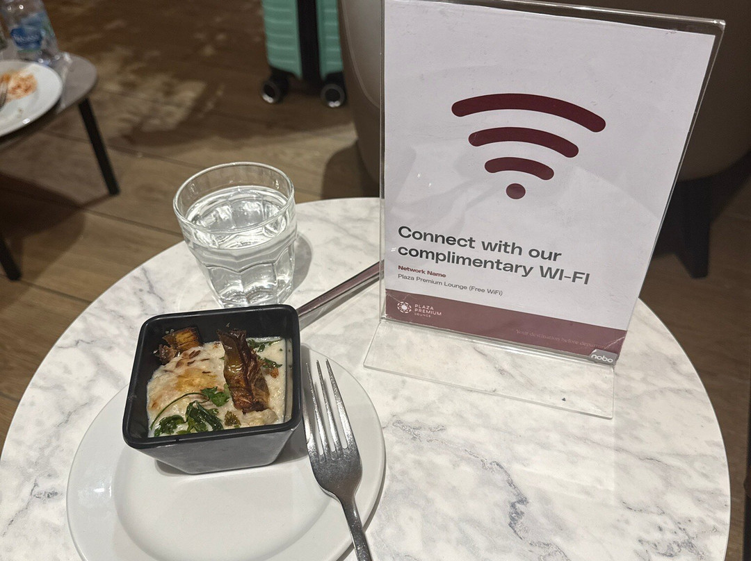Plaza Premium Lounge (Schengen Area Departures Terminal 1)-菲乌米奇诺必去景点