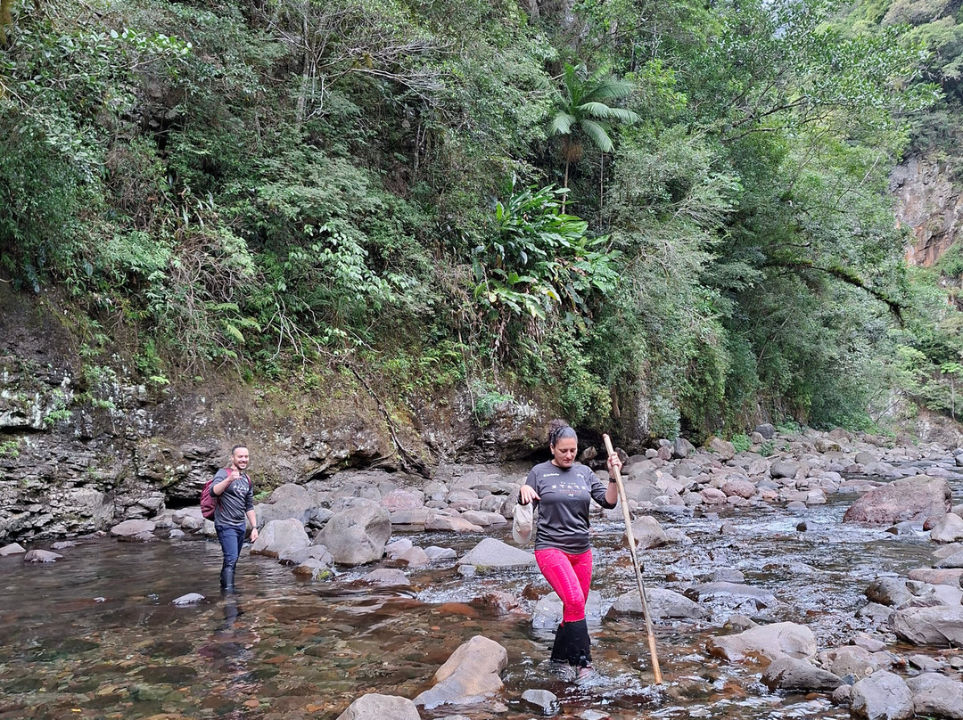 Trilha Do Rio Do Boi-Praia Grande必去景点